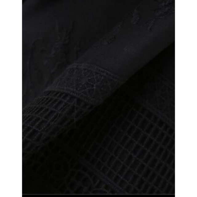 SLOBE IENA(スローブイエナ)のSLOBE IENA  刺繍レーススカート　BLACK レディースのスカート(ロングスカート)の商品写真