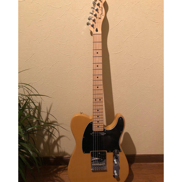 fender mexico PLAYER series TELECASTER