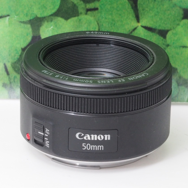 【超美品】キヤノン EF50mm 単焦点 STMで動画もバッチリ♪ 神レンズ