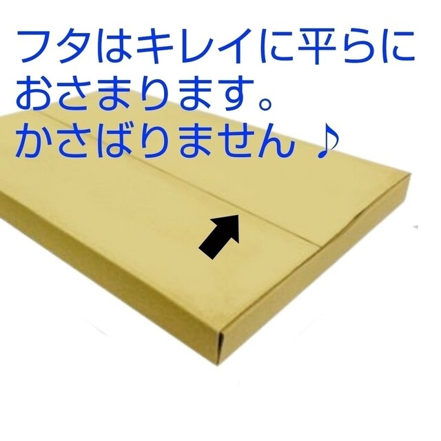 □ 10枚 ネコポス 最大サイズ 厚さ3㎝ 対応！ A4 ダンボール 箱  □ インテリア/住まい/日用品のオフィス用品(ラッピング/包装)の商品写真