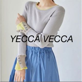 イェッカヴェッカ(YECCA VECCA)のYECCA VECCA 春色リブニット　グレー系　フレア袖(ニット/セーター)