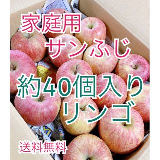 2月2日発送。（少し小ぶり）会津の樹上葉取らず家庭用リンゴ約40個入り (フルーツ)