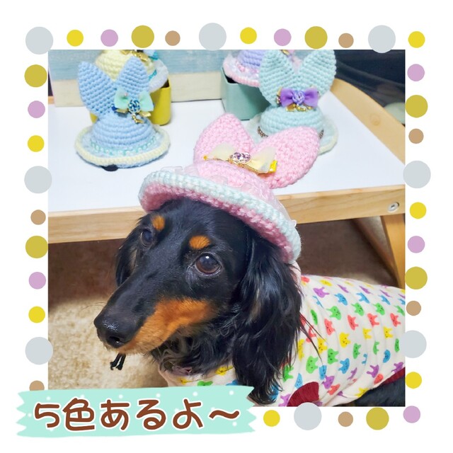 【送料無料】犬用   うさ耳   ニット帽子 ハンドメイドのペット(ペット服/アクセサリー)の商品写真