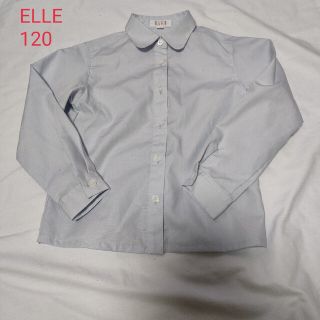 エル(ELLE)のELLE PETITE 長袖シャツ　ブラウス(ブラウス)