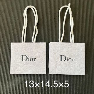 クリスチャンディオール(Christian Dior)のChristian Dior ショッパー 2個セット(ショップ袋)