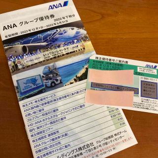 エーエヌエー(ゼンニッポンクウユ)(ANA(全日本空輸))のANA 株主優待券&グループ優待券(その他)