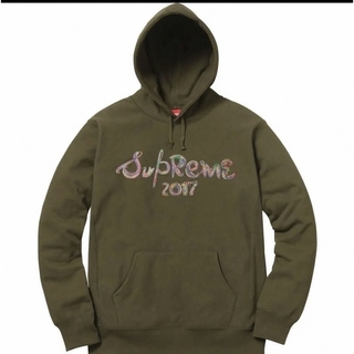 シュプリーム(Supreme)のシュプリーム　brush logo hooded sweatshirt(パーカー)