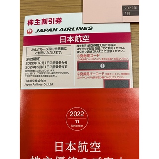 日本航空☆株主優待☆JAL(その他)