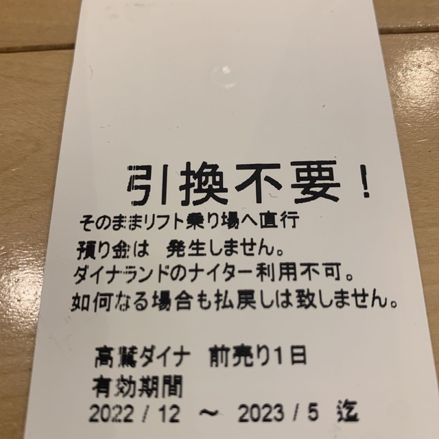 高鷲スノーパーク／ダイナランド　リフト券２枚　土日祝利用可 チケットの施設利用券(スキー場)の商品写真