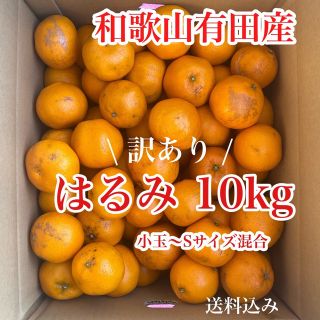 和歌山有田産 はるみ10kg「訳あり」(フルーツ)