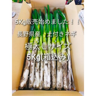 5Kg販売始めました！長野県産　長ネギ　土付き　Ｌサイズ　5Kg　15本前後(野菜)