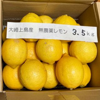 広島県大崎上島産無農薬レモン　3.5kg(フルーツ)