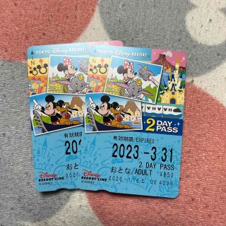 ディズニーリゾートライン 2 day pass(遊園地/テーマパーク)