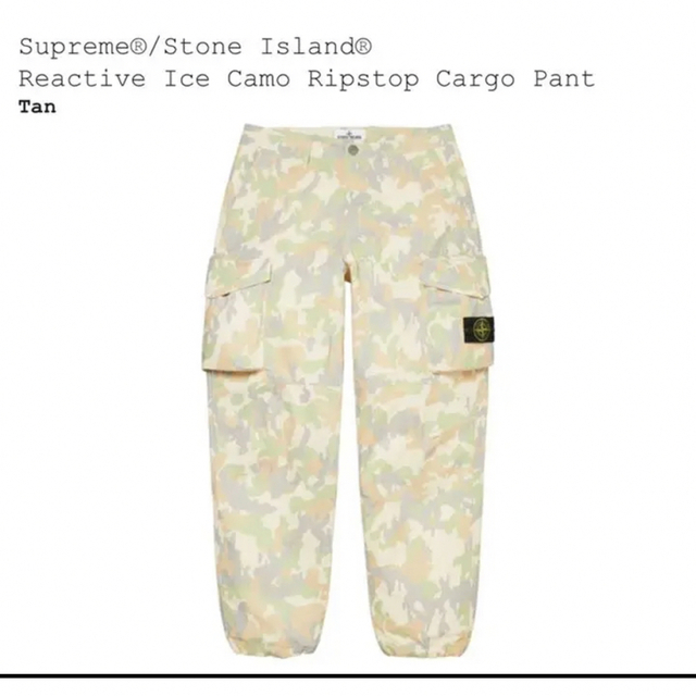 Supreme Reactive Ice Camo Cargo Pant 36