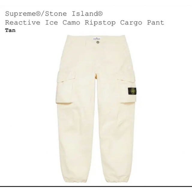 Supreme Reactive Ice Camo Cargo Pant 36