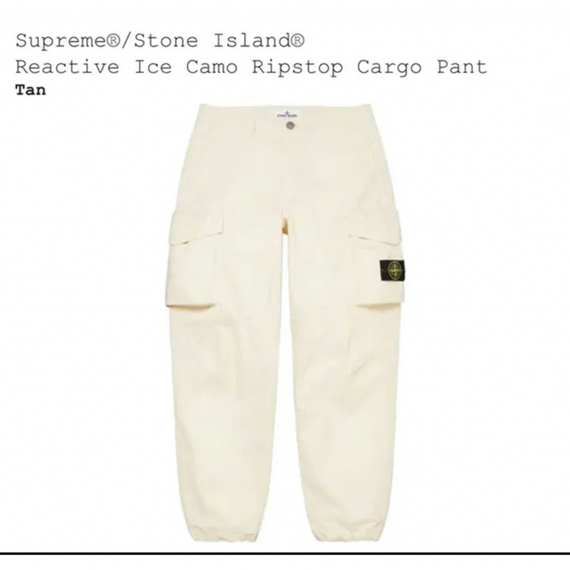 Supreme(シュプリーム)のSupreme Reactive Ice Camo Cargo Pant 36 メンズのパンツ(ワークパンツ/カーゴパンツ)の商品写真