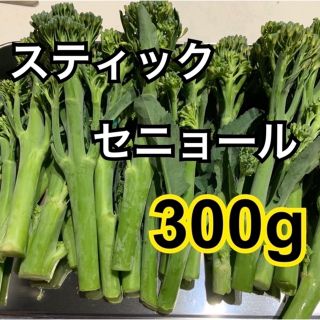 スティックセニョール　300g(野菜)