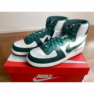 ナイキ(NIKE)のNIKE TERMINATOR HIGH(スニーカー)