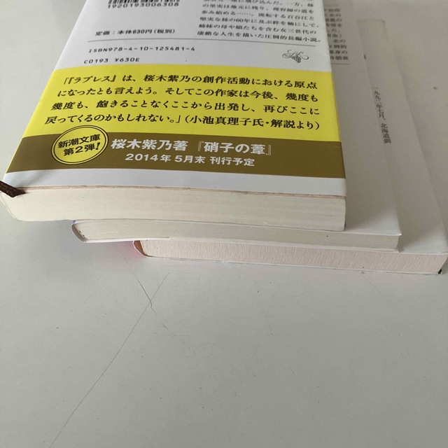 新潮文庫(シンチョウブンコ)の桜木紫乃　ラブレス　氷平線　凍原 エンタメ/ホビーの本(文学/小説)の商品写真