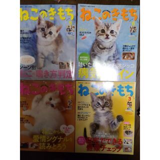 ベネッセ(Benesse)のタケコさん専用ねこのきもち(猫)