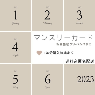 2023年度版 マンスリーカード アルバム整理  ベージュ 黒(アルバム)