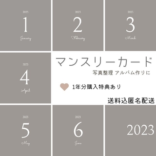 2023年度版 マンスリーカード アルバム整理 グレー 白(アルバム)