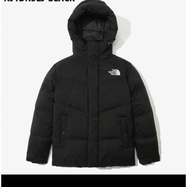 NORTH FACE FREE MOVE DOWN JACKET 1