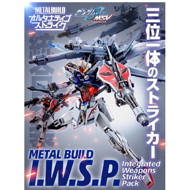 METAL BUILD I.W.S.P 2個セット メタルビルド 国内最安値！ noxcapital.de