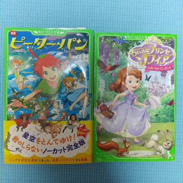 Disney(ディズニー)のプリンセスソフィア&ピーターパン2冊セット エンタメ/ホビーの本(絵本/児童書)の商品写真