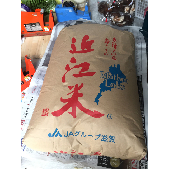 近江米　コシヒカリ　玄米30kg 令和4年産
