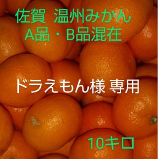 佐賀県産 温州みかん 10キロ(フルーツ)