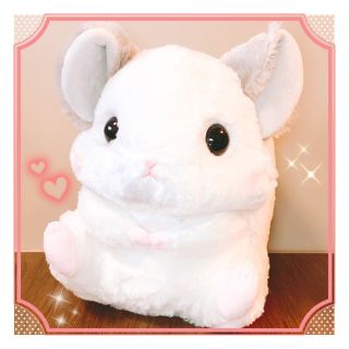 新品　ころはむコロンチラくんといっしょＢＩＧ　コロン　ぬいぐるみ　ビッグ