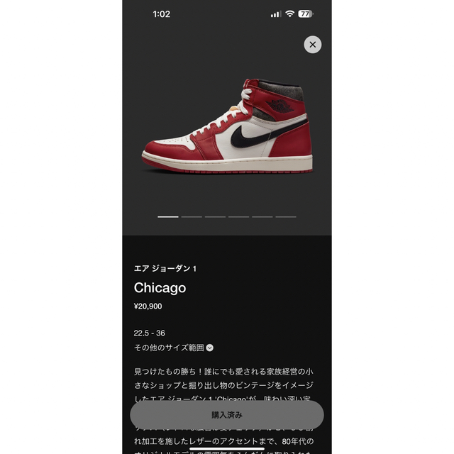 【25.5cm】NIKE AIR JORDAN1 Chicago