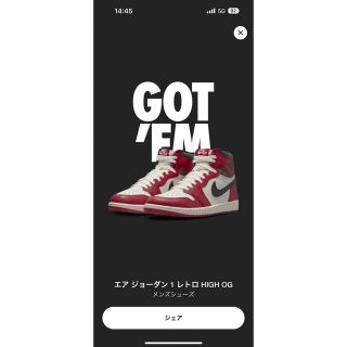 ナイキ(NIKE)の【25.5cm】NIKE AIR JORDAN1 Chicago(スニーカー)