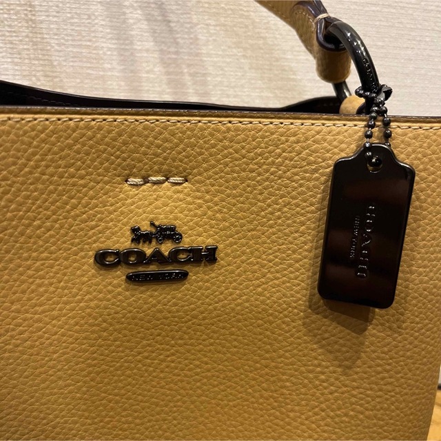 【美品】COACH スモール　モリー　タウン　バケット　バッグ