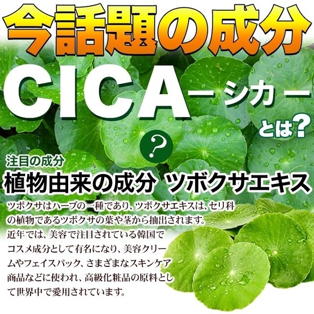 メガ盛り★CICA(シカ) Beauty Supplement約4ヶ月分 食品/飲料/酒の健康食品(コラーゲン)の商品写真