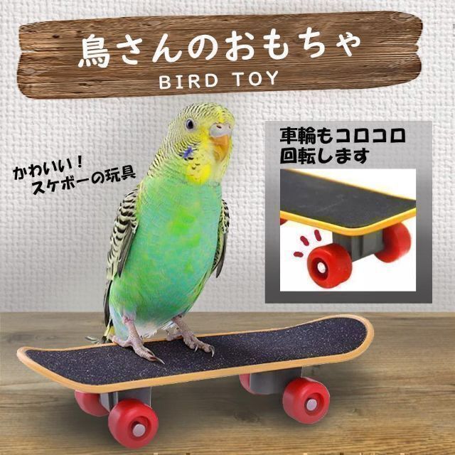 鳥のおもちゃ バードトイ スケートボード セキセイインコ その他のペット用品(鳥)の商品写真