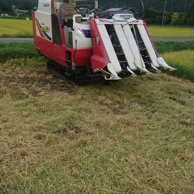 見事な創造力 埼玉県北部産 キヌヒカリ 5kg 標準白米 or 無洗米