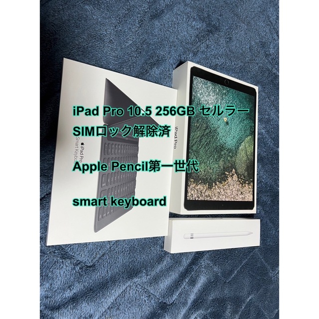 Apple - iPad Pro 10.5 256GB/Apple Pencil/純正キーボード