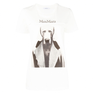 マックスマーラ(Max Mara)のマックス マーラ　Tシャツ　ホワイト　XS(Tシャツ(半袖/袖なし))