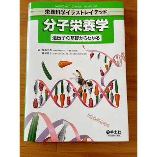 分子栄養学 遺伝子の基礎からわかる(科学/技術)