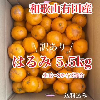 和歌山有田産 はるみ5.5kg「訳あり」送料込み(フルーツ)