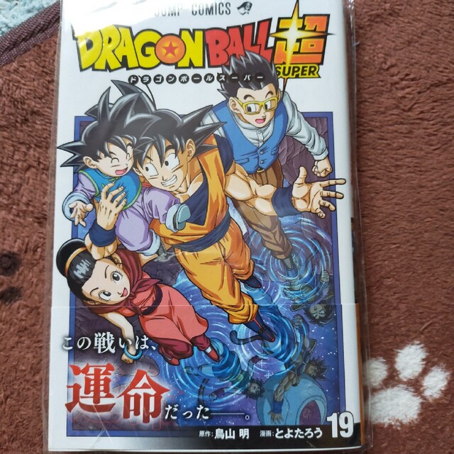 ＤＲＡＧＯＮ ＢＡＬＬ超 １９/集英社/鳥山明