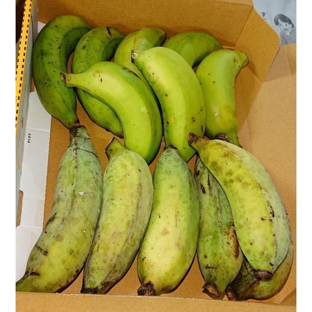 56％以上節約 沖縄本島北部産 人気の国産バナナ３種 食べ比べ ３種バナナセット