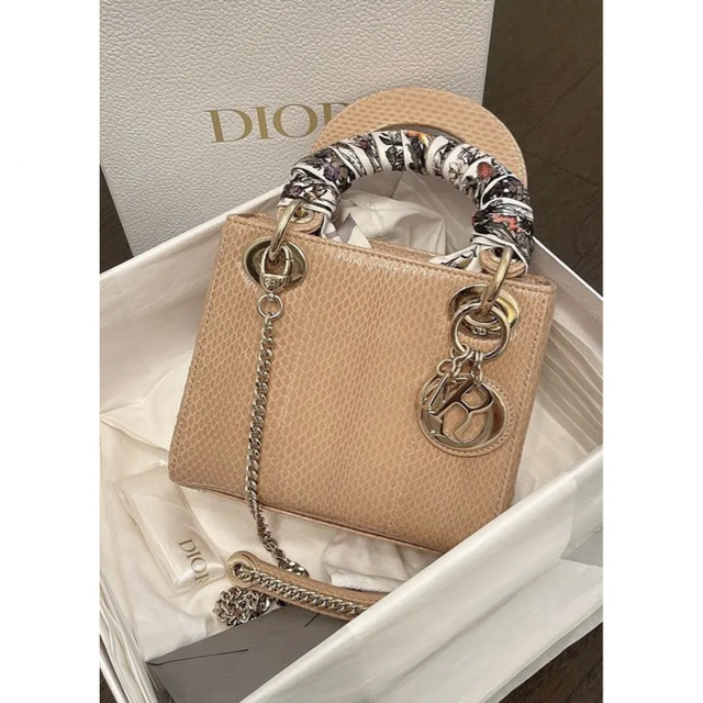 Christian Dior - DIOR レア商品！パイソンレディディオールバッグ！