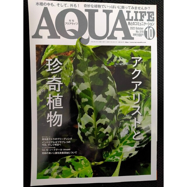 月刊 AQUA LIFE (アクアライフ) 2022年 10月号 エンタメ/ホビーの雑誌(その他)の商品写真