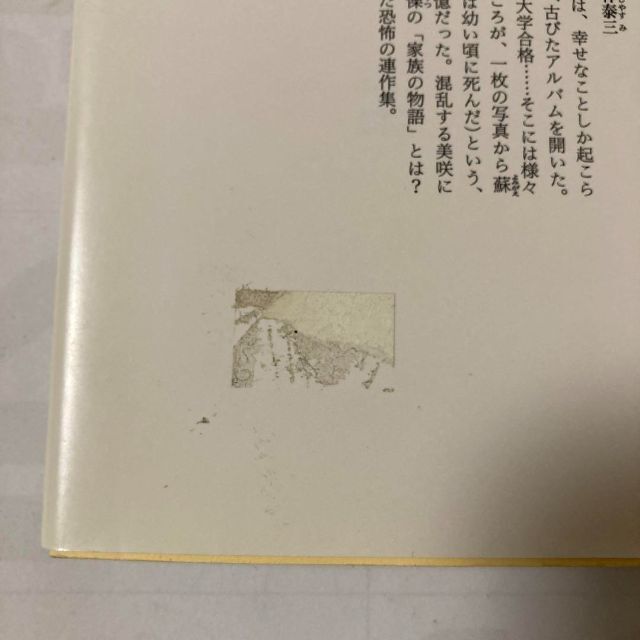 惨劇アルバム エンタメ/ホビーの本(文学/小説)の商品写真