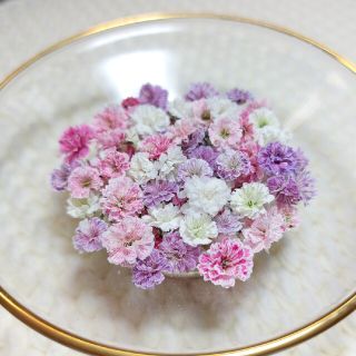 〖100粒以上〗かすみ草 ドライフラワー💐(ドライフラワー)