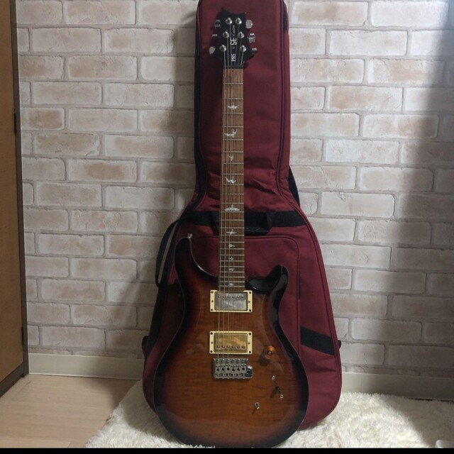 PRS SE custom24PRS