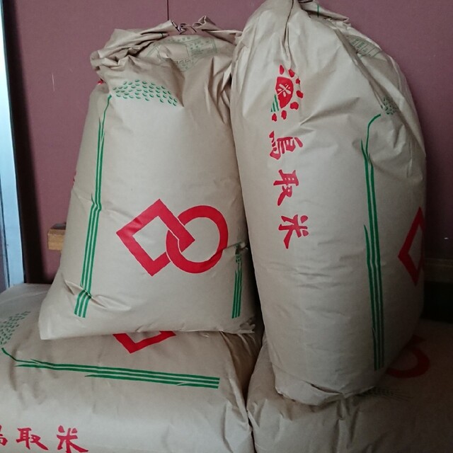 白米20キロ、新米（令和4年)鳥取県産米、コシヒカリ食品